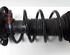 Suspension Strut AUDI A2 (8Z0)