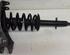 Suspension Strut AUDI A8 (4D2, 4D8)