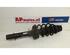 Suspension Strut AUDI A3 (8L1)