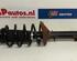 Suspension Strut AUDI A3 (8L1)