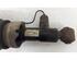 Suspension Strut AUDI A6 Avant (4B5, C5), AUDI ALLROAD (4BH, C5)