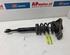 Suspension Strut AUDI A4 B7 Convertible (8HE)