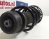 Shock Absorber AUDI A1 (8X1, 8XK), AUDI A1 Sportback (8XA, 8XF)