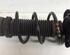 Shock Absorber AUDI A1 (8X1, 8XK), AUDI A1 Sportback (8XA, 8XF)