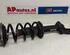 Shock Absorber AUDI A6 (4G2, 4GC, C7)