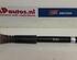 Shock Absorber AUDI A6 Avant (4F5, C6)