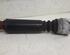 Shock Absorber AUDI A6 (4F2, C6)