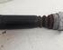 Shock Absorber AUDI A6 (4F2, C6)