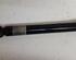 Shock Absorber AUDI A4 (8EC, B7)