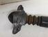 Shock Absorber AUDI A3 (8P1), AUDI A3 Sportback (8PA)