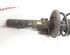 Shock Absorber AUDI A2 (8Z0)