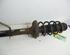 Shock Absorber AUDI A3 (8L1)