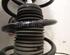 Shock Absorber AUDI A2 (8Z0)