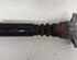 Shock Absorber AUDI A6 Avant (4F5, C6)