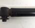 Shock Absorber AUDI A6 Avant (4F5, C6)