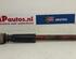 Shock Absorber AUDI A4 B7 Convertible (8HE)