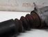 Shock Absorber AUDI A3 (8L1)