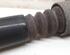 Shock Absorber AUDI A6 Avant (4B5, C5)