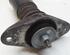 Shock Absorber AUDI A8 (4D2, 4D8)