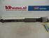 Shock Absorber AUDI A4 Avant (8E5, B6)