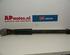 Shock Absorber AUDI A2 (8Z0)