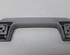 Grab Handle AUDI A6 Avant (4F5, C6)