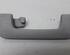 Grab Handle AUDI A6 Avant (4F5, C6)