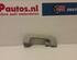 Grab Handle AUDI A6 (4F2, C6)