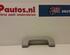 Handgreep stoffering AUDI A3 (8P1), AUDI A3 Sportback (8PA)