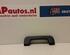 Grab Handle AUDI A6 Avant (4F5, C6)