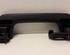 Grab Handle AUDI A6 Avant (4F5, C6)