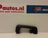 Grab Handle AUDI A6 Avant (4F5, C6)