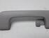 Grab Handle AUDI A6 Avant (4F5, C6)