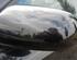 Wing (Door) Mirror AUDI A3 (8P1), AUDI A3 Sportback (8PA)