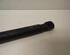 Gas Spring AUDI A4 Avant (8ED, B7)