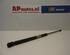 Gas Spring AUDI A3 (8L1)