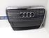 Kühlergrill Audi A6 Avant 4F, C6 4F0853651S P19745443