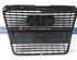 Radiator Grille AUDI A6 Avant (4F5, C6)