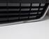 Radiator Grille AUDI A6 Avant (4F5, C6)