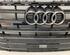 Radiator Grille AUDI Q5 (FYB, FYG)