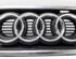 Radiateurgrille AUDI A6 (4B2, C5)