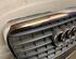 Radiator Grille AUDI A6 (4F2, C6)