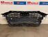 Radiateurgrille AUDI A3 Limousine (8YS)