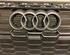 Radiateurgrille AUDI A3 Limousine (8YS)