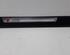 Sill Trim AUDI A6 Avant (4F5, C6)