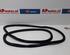 Door Seal AUDI Q5 (8RB), AUDI Q5 Van (8RB)