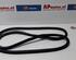 Door Seal AUDI Q5 (8RB), AUDI Q5 Van (8RB)