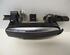 Door Handle AUDI A6 Avant (4F5, C6)