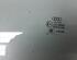 Door Glass AUDI A4 Avant (8K5, B8), AUDI A5 Sportback (8TA)