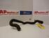 Radiator Hose AUDI A3 (8L1)